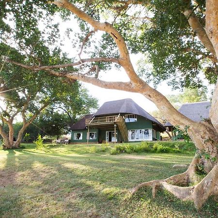 Maninghi Lodge Balule Game Reserve Eksteriør bilde