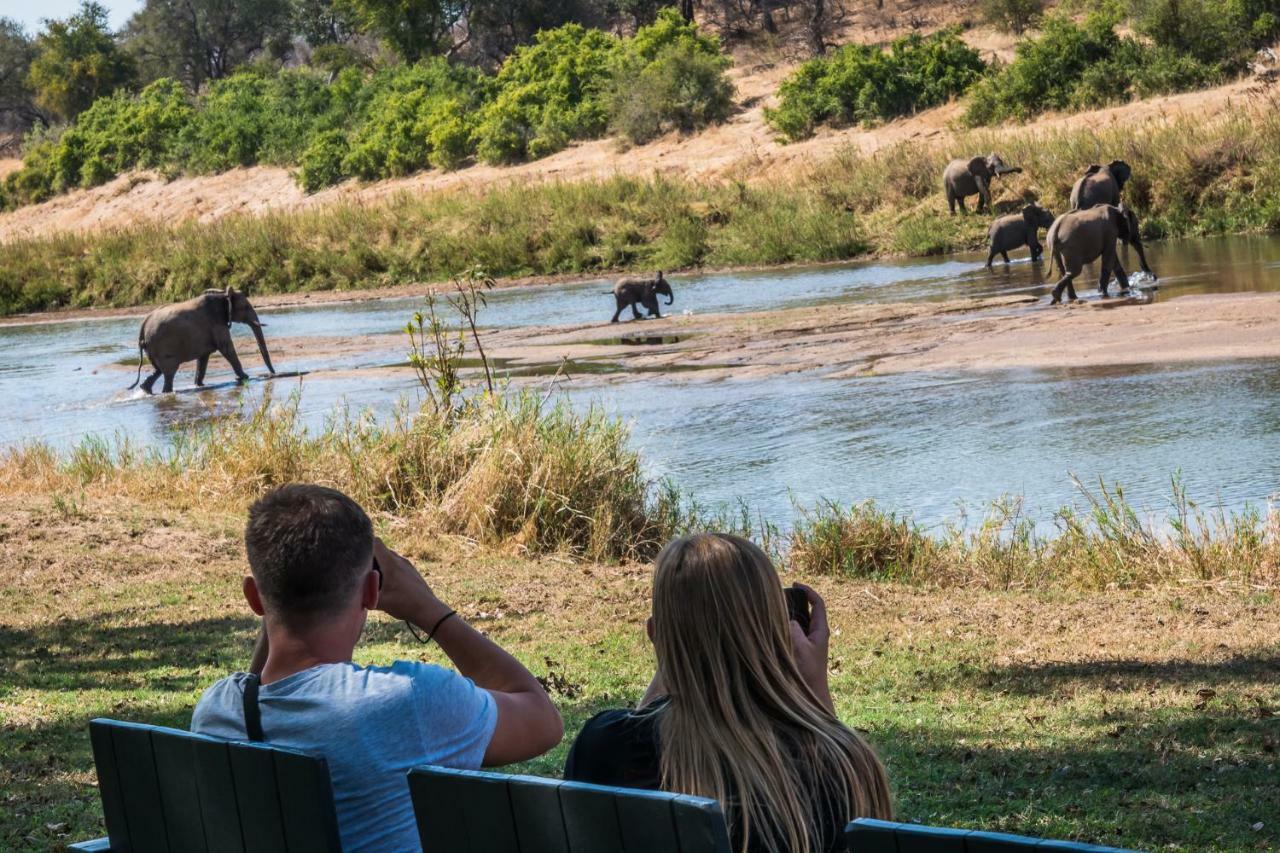Maninghi Lodge Balule Game Reserve Eksteriør bilde